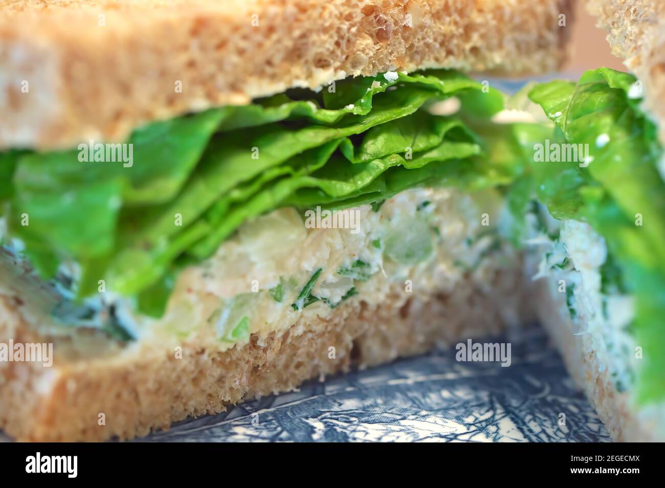 Sandwich à la salade de thon sur du pain à grains entiers avec de la laitue. Banque D'Images