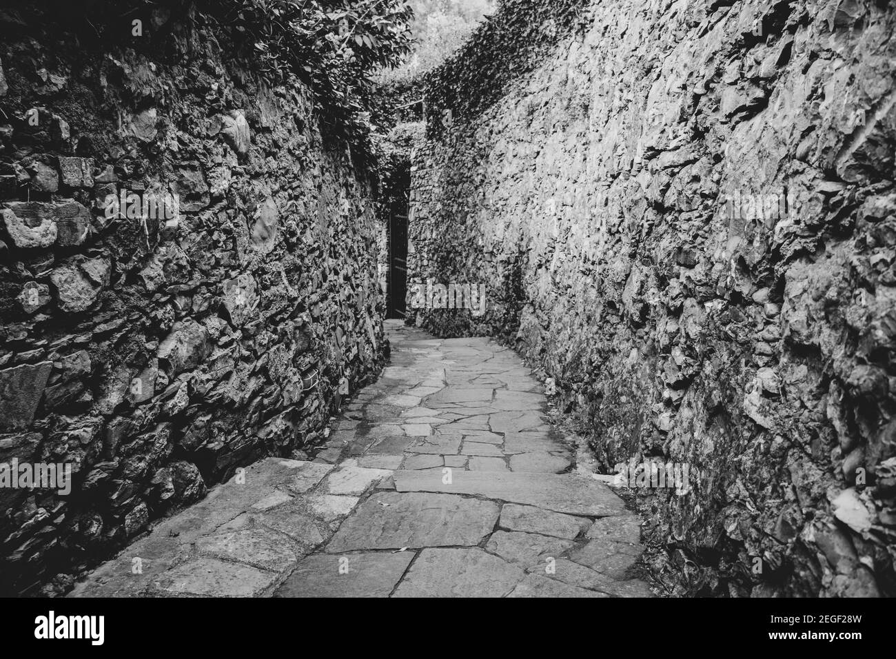 Une ruelle étroite, entourée de briques et de pavés. Au milieu se trouve un escalier menant à une porte et au-delà. Concept de marche sur une route inconnue Banque D'Images