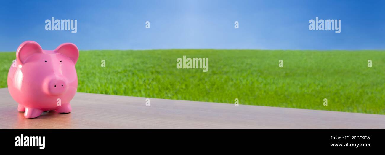 Plan panoramique de l'argent d'investissement d'une banque de porc rose dans un champ vert avec un ciel bleu vif en-tête de bannière web Banque D'Images