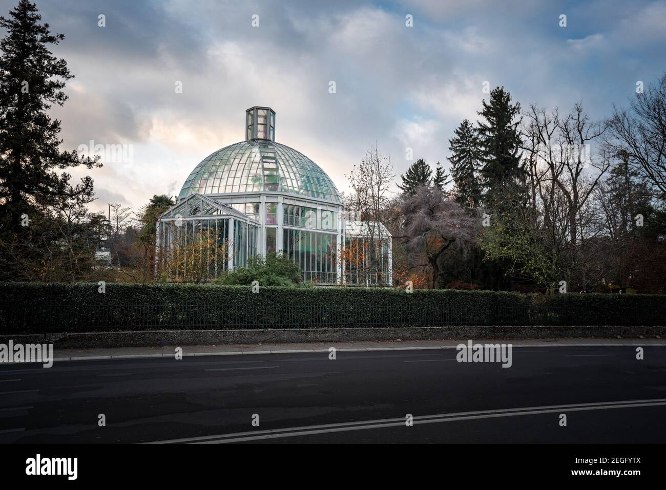 Jardin botanique serre - Genève, Suisse Banque D'Images