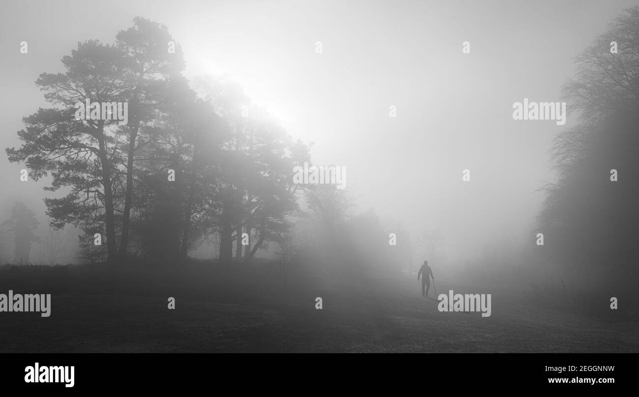 L'homme et l'ombre dans la brume Photo Stock - Alamy