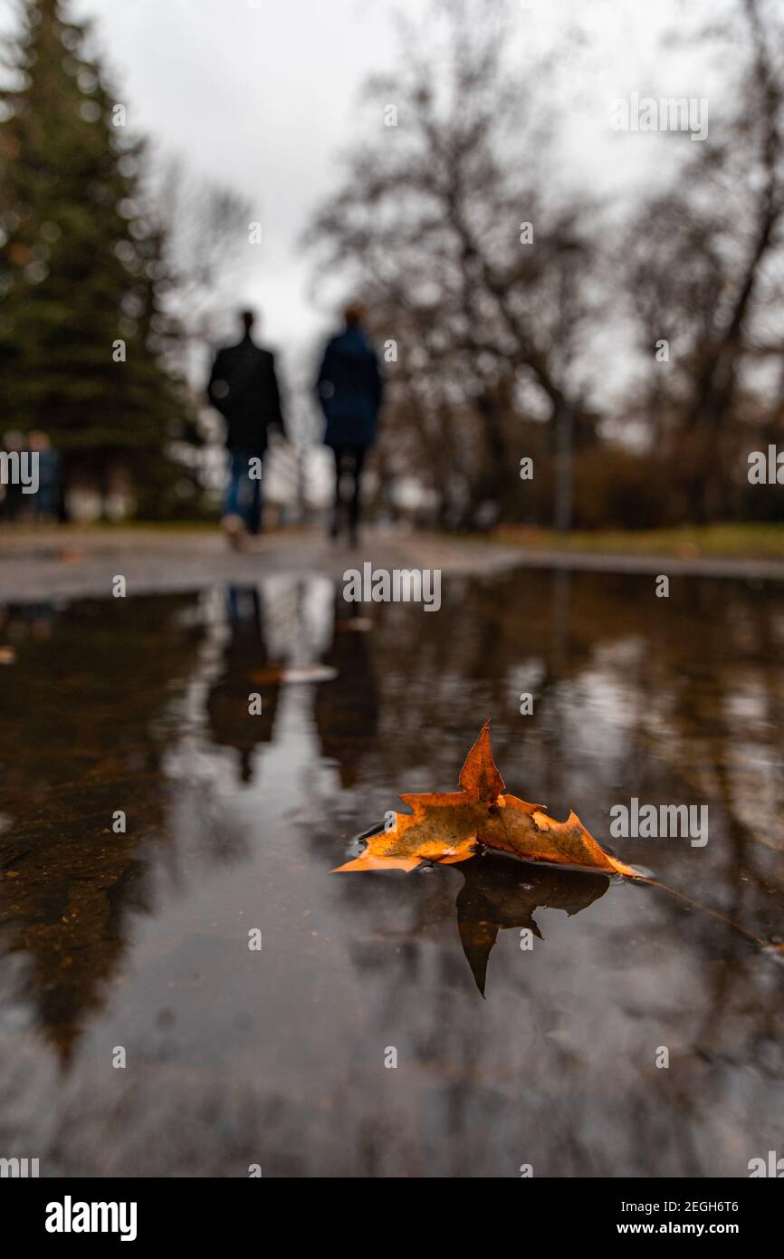 Petite feuille orange dans une petite flaque dans le parc et les gens qui marchent se reflètent dans la flaque Banque D'Images