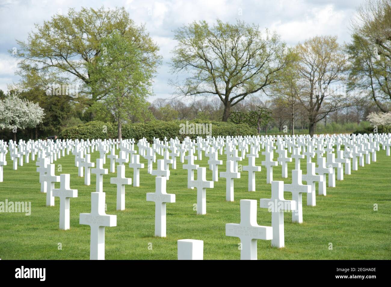 Le cimetière américain des pays-Bas, Margraten, pays-Bas 8301 soldats américains et aviateurs de la Seconde Guerre mondiale y sont enterrés. Banque D'Images