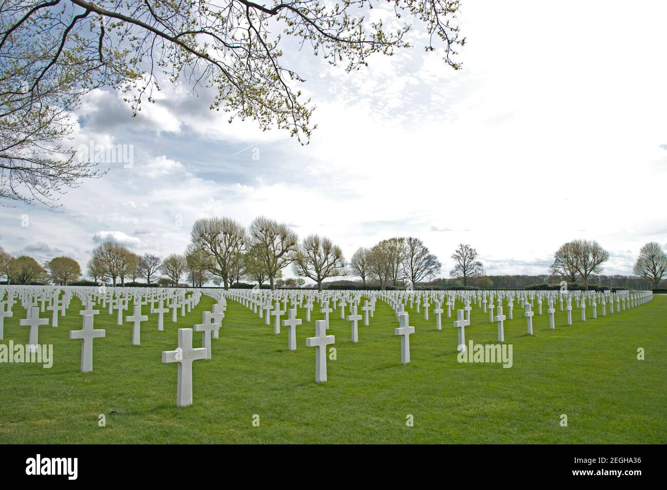 Le cimetière américain des pays-Bas, Margraten, pays-Bas 8301 soldats américains et aviateurs de la Seconde Guerre mondiale y sont enterrés. Banque D'Images