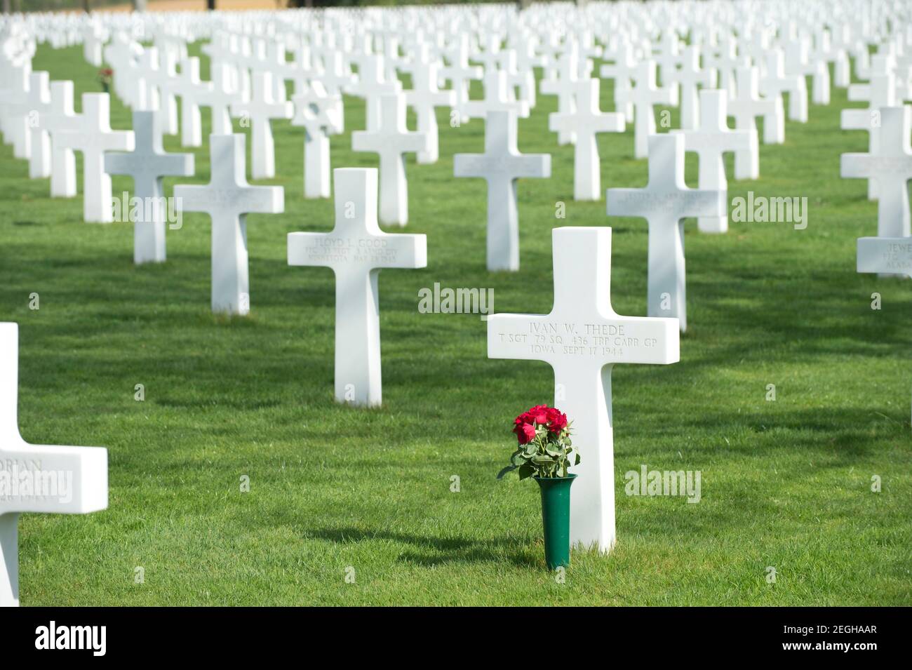 Le cimetière américain des pays-Bas, Margraten, pays-Bas 8301 soldats américains et aviateurs de la Seconde Guerre mondiale y sont enterrés. Banque D'Images