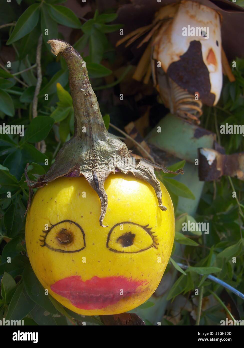 Idée, concept. Décoration de jardin étrange avec une pomme à visage peint et un jardinière avec un rafrain d'étain rouillé Banque D'Images