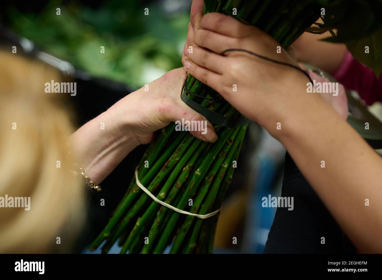 Procédé d'assemblage de bouquet, deux fleuristes tiennent le bouquet avec leurs mains Banque D'Images