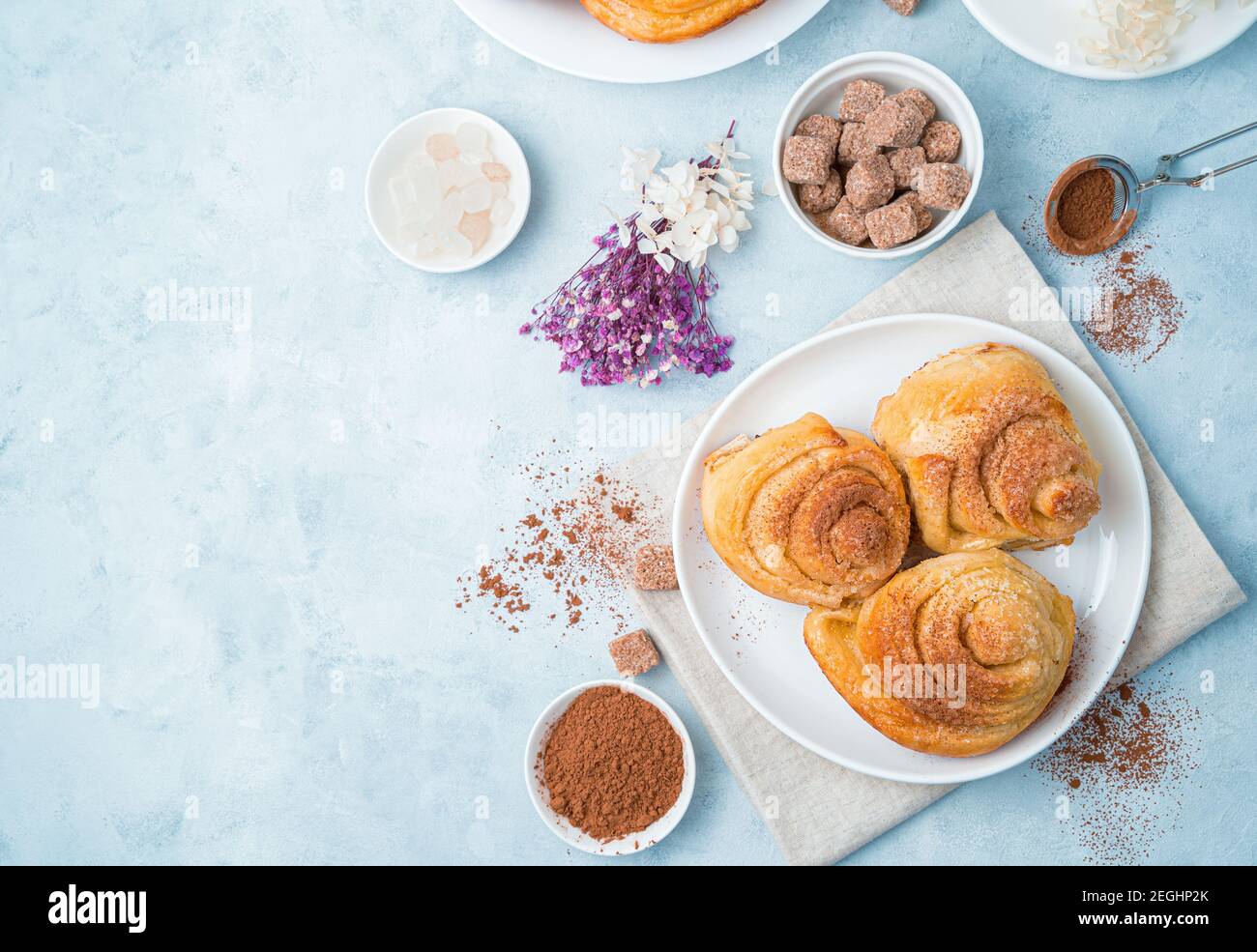 Petits pains à l'escargot doux au cacao et au sucre et fleurs sur fond bleu clair. Banque D'Images