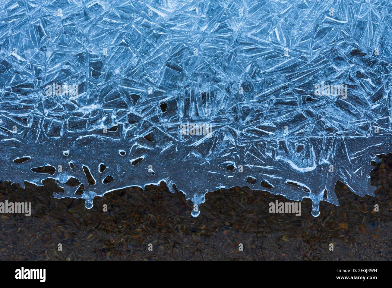 Motifs uniques formés dans la glace, avec une couche gelée au-dessus de l'eau courante claire d'East Plum Creek, Castle Rock Colorado USA. Photo prise en février. Banque D'Images