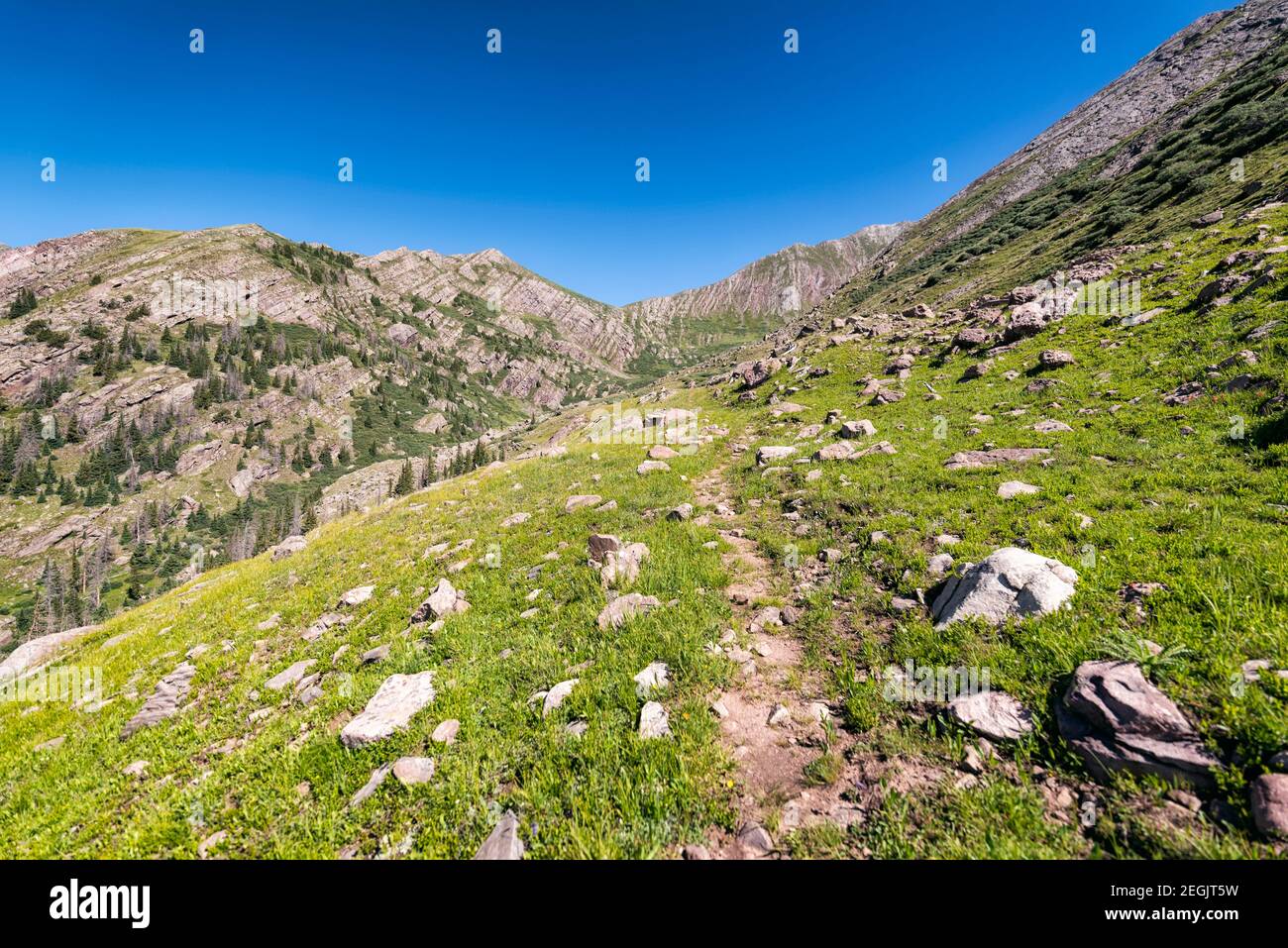 Sentier de randonnée dans la région sauvage de Sangre de Cristo, Colorado Banque D'Images