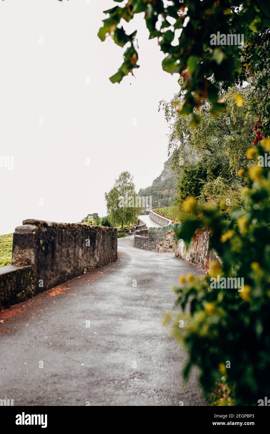 Route en pierre dans les vignobles de France en septembre vue panoramique. Un peu brumeux Banque D'Images
