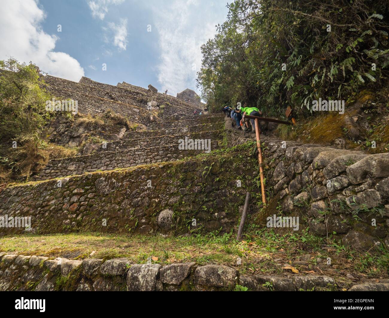 Terrasses de Waynapicchu au sommet de la montagne, murs en pierre de l'inca couverts de mousse Banque D'Images