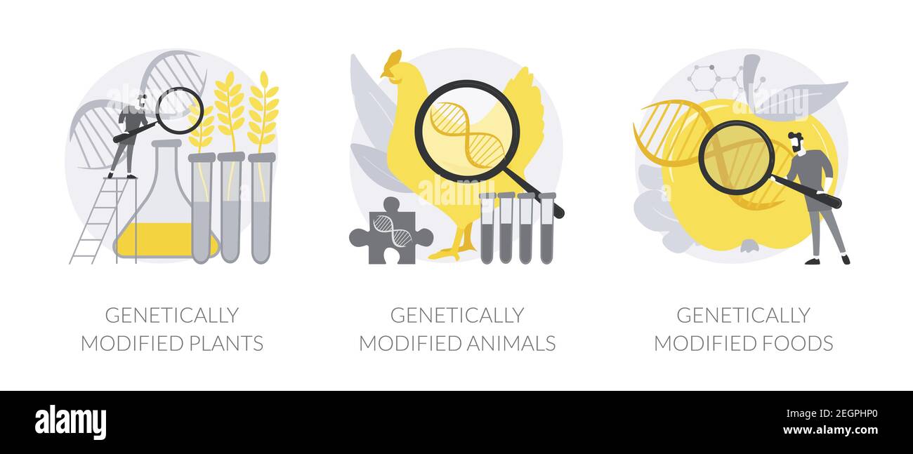 Biotechnologie en agriculture concept abstrait illustrations vectorielles. Illustration de Vecteur