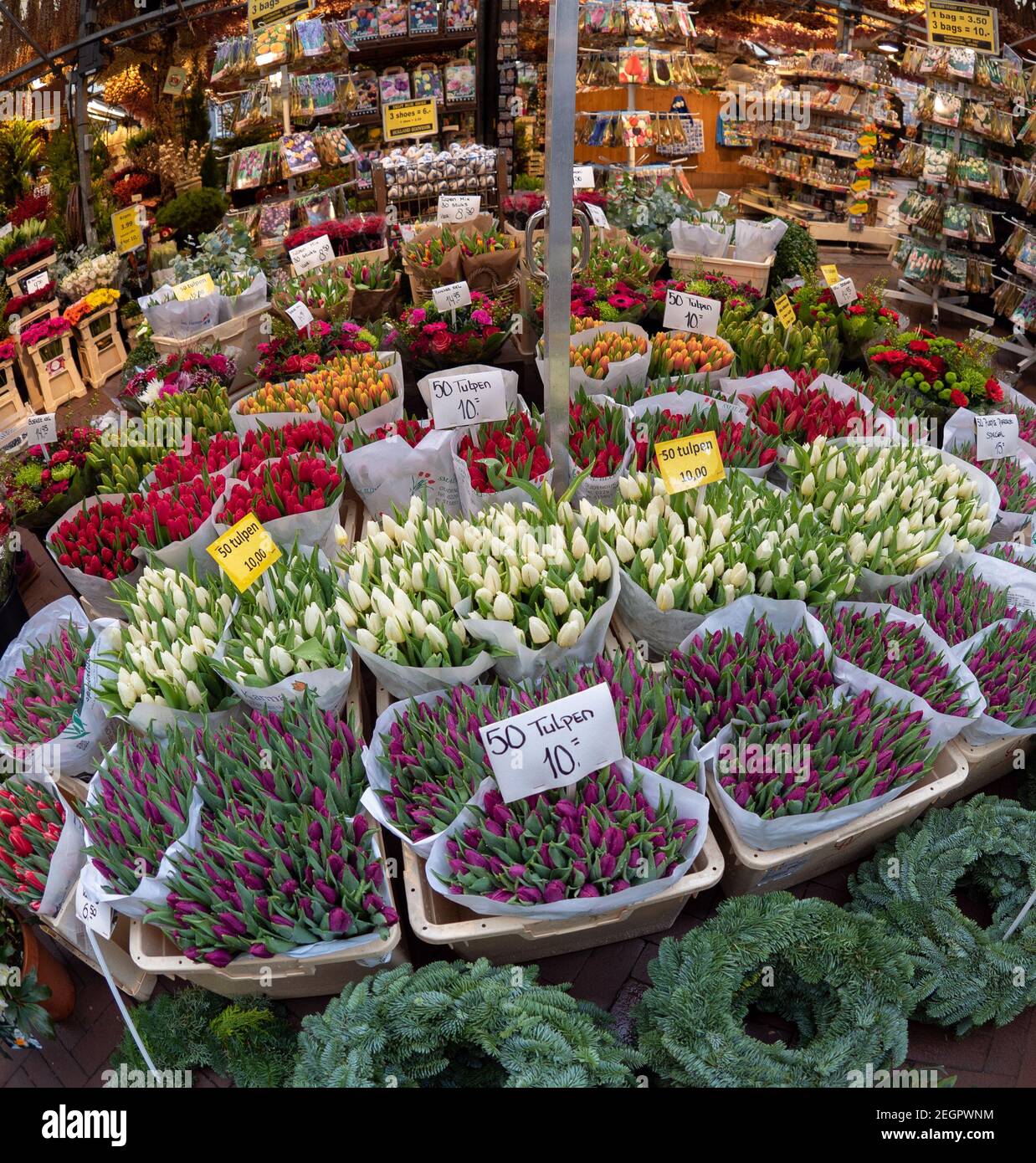 Pays-Bas, Amsterdam - 9 décembre 2017, Tulips de différentes couleurs en vente en magasin Banque D'Images