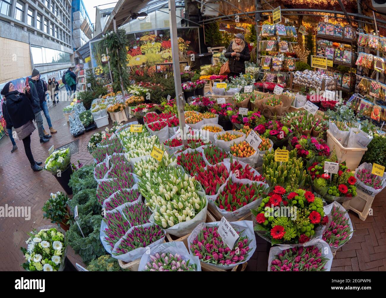 Pays-Bas, Amsterdam - 9 décembre 2017, magasin avec un assortiment de tulipes de différentes couleurs Banque D'Images