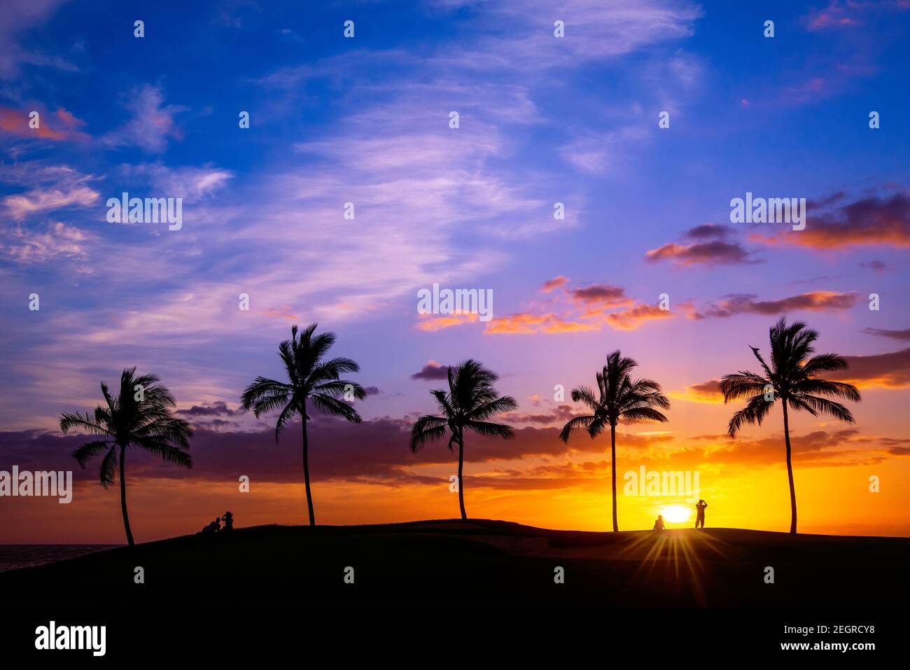 Coucher du soleil tropical hawaïen avec des silhouettes de palmiers Banque D'Images