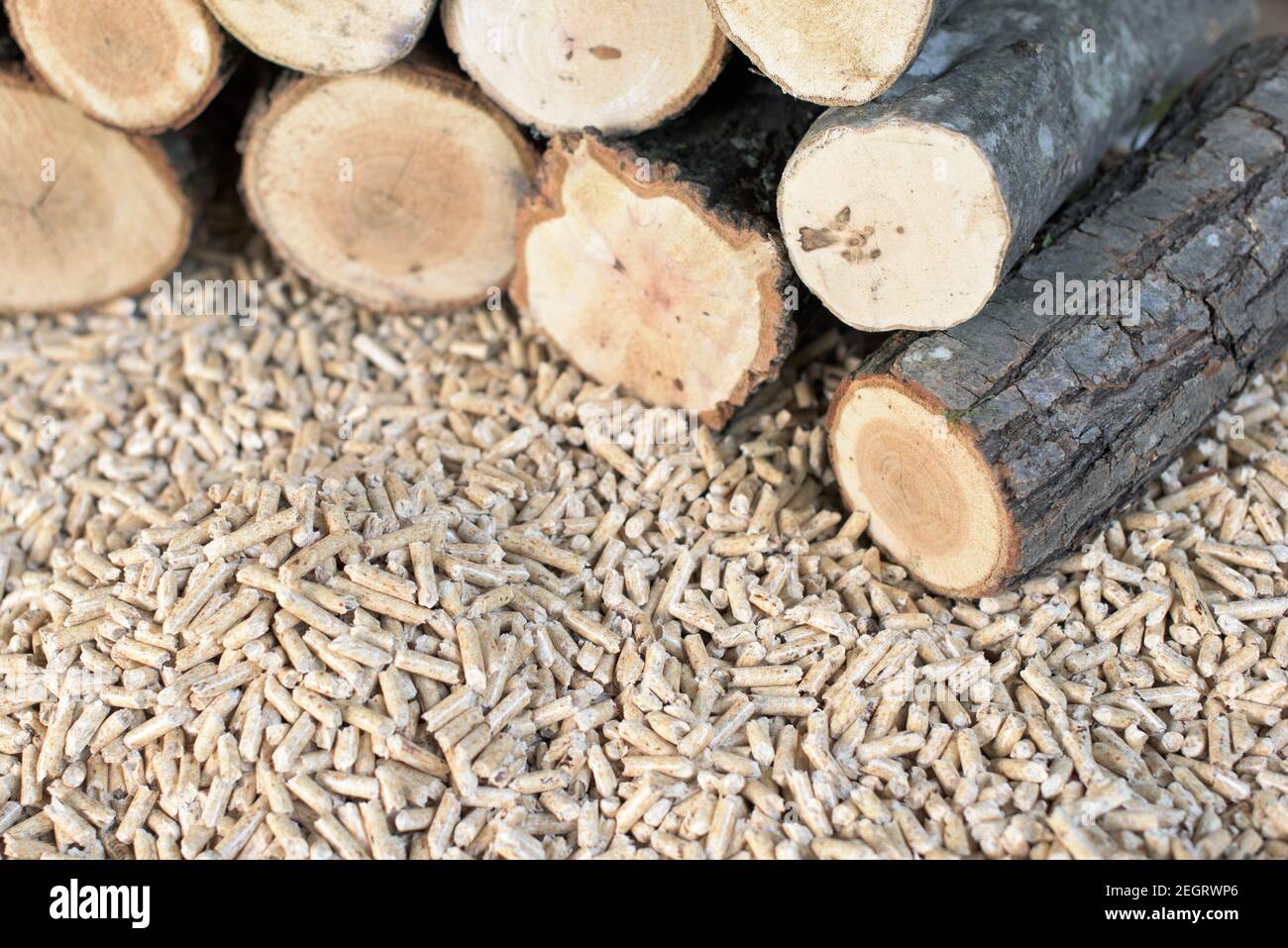 Pile de pelets et de bois de chêne - énergie renouvelable Banque D'Images