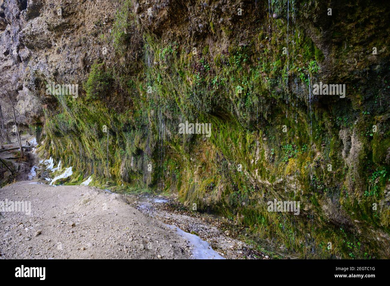 eau sortant du mur de pierre 'rinnende wand' près de molln, en haute-autriche Banque D'Images