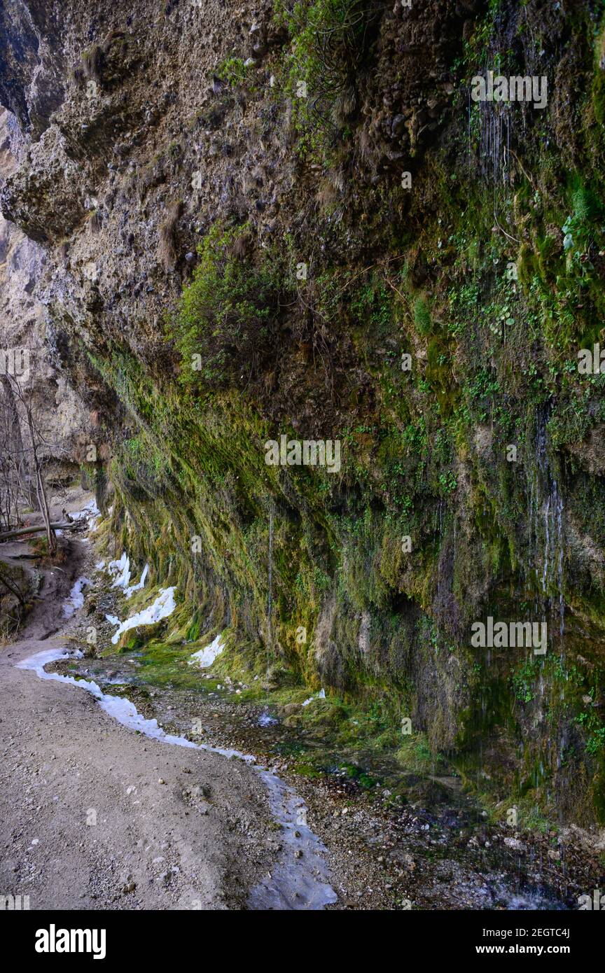 eau sortant du mur de pierre 'rinnende wand' près de molln, en haute-autriche Banque D'Images