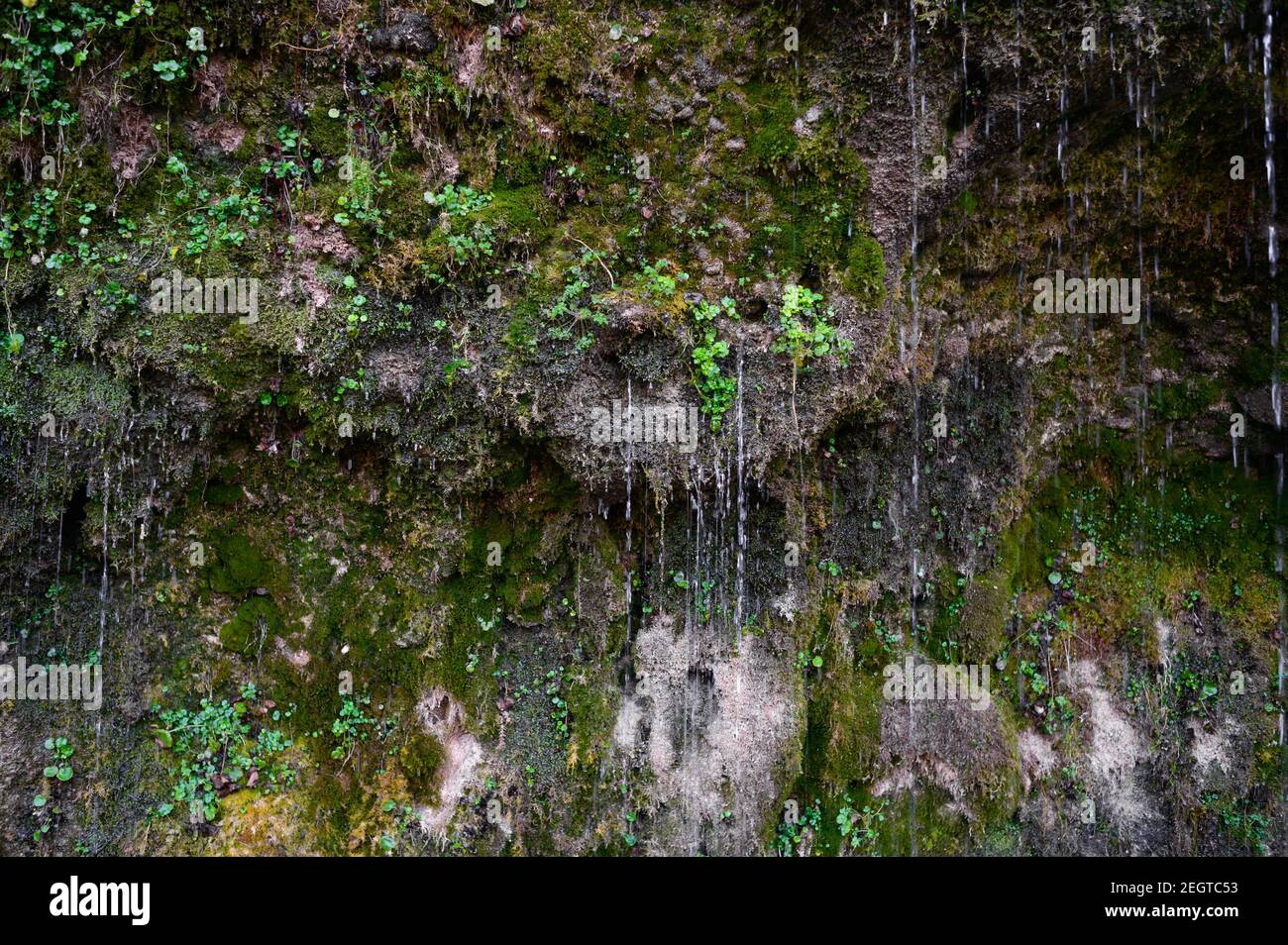 eau sortant du mur de pierre 'rinnende wand' près de molln, en haute-autriche Banque D'Images