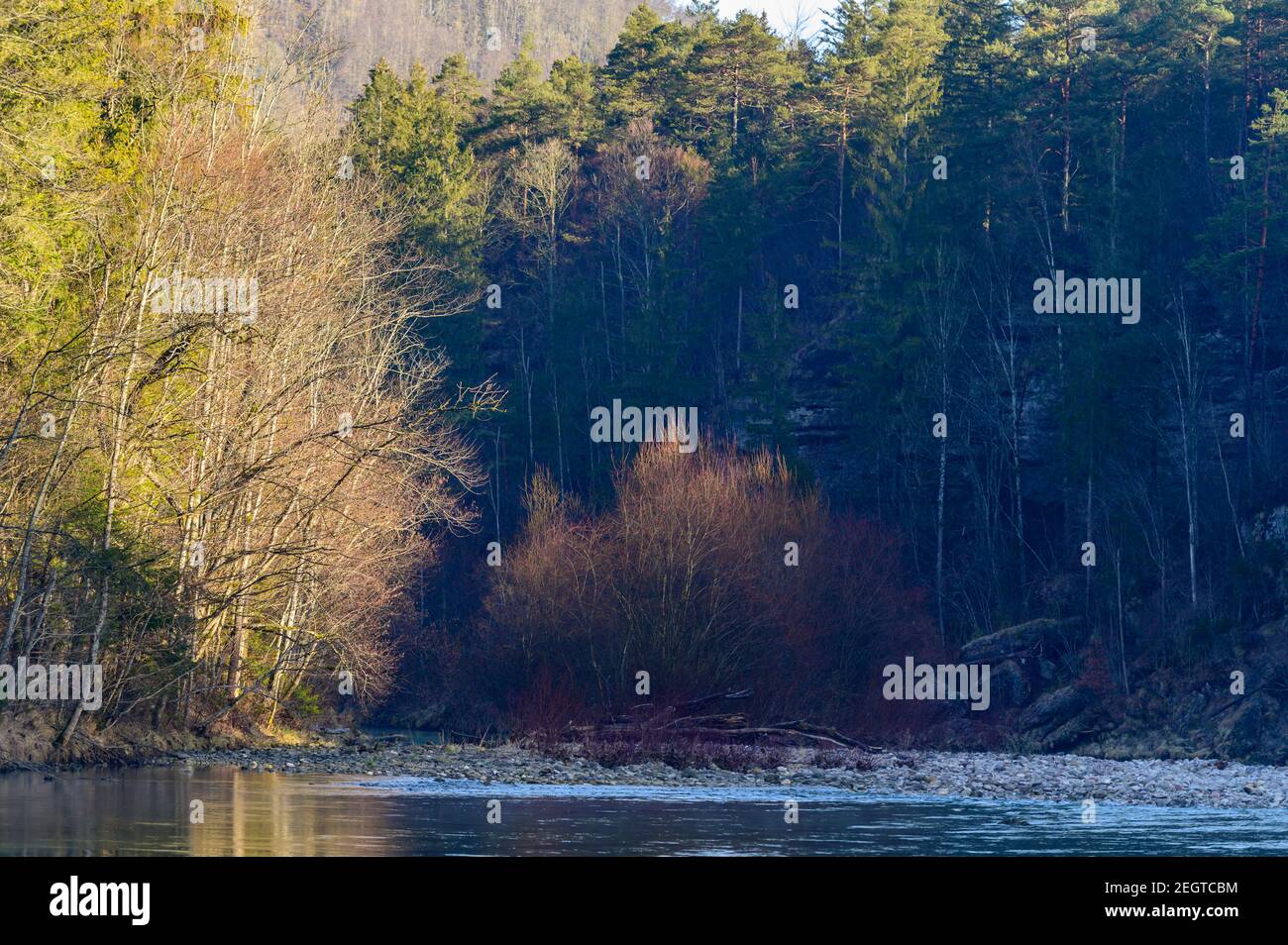 canyon de la rivière steyr près de molln, en haute-autriche Banque D'Images