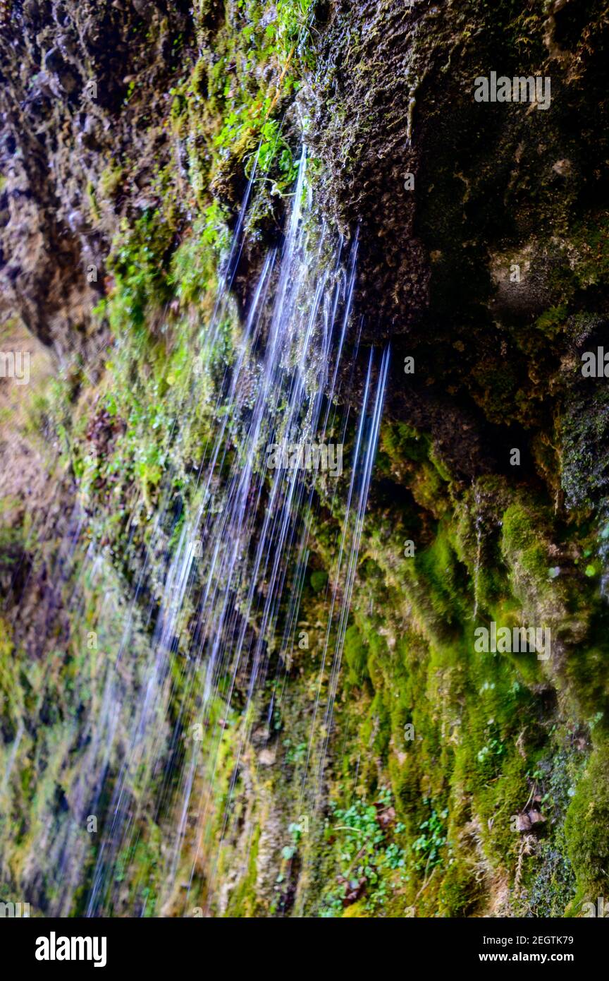 eau sortant du mur de pierre 'rinnende wand' près de molln, en haute-autriche Banque D'Images