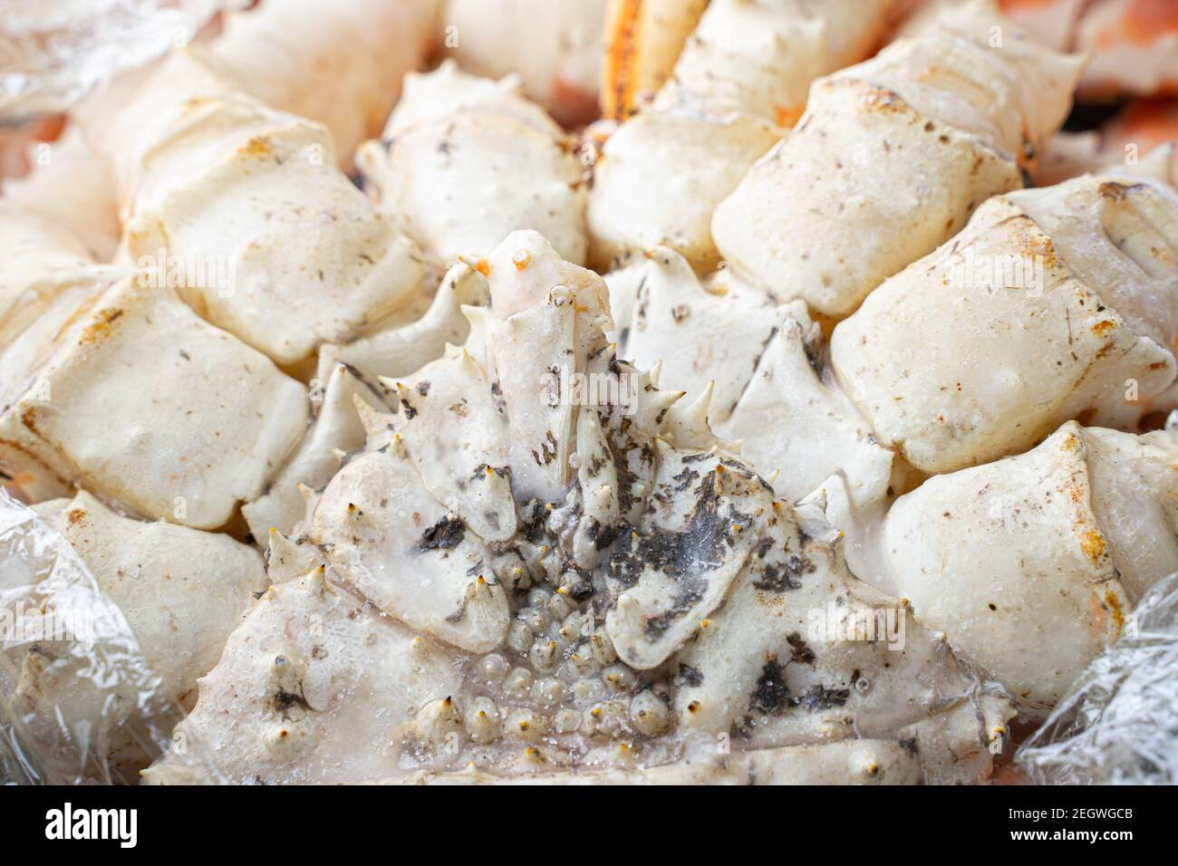 Ventre de crabe blanc. Crabe royal savoureux de kamchatka. Banque D'Images