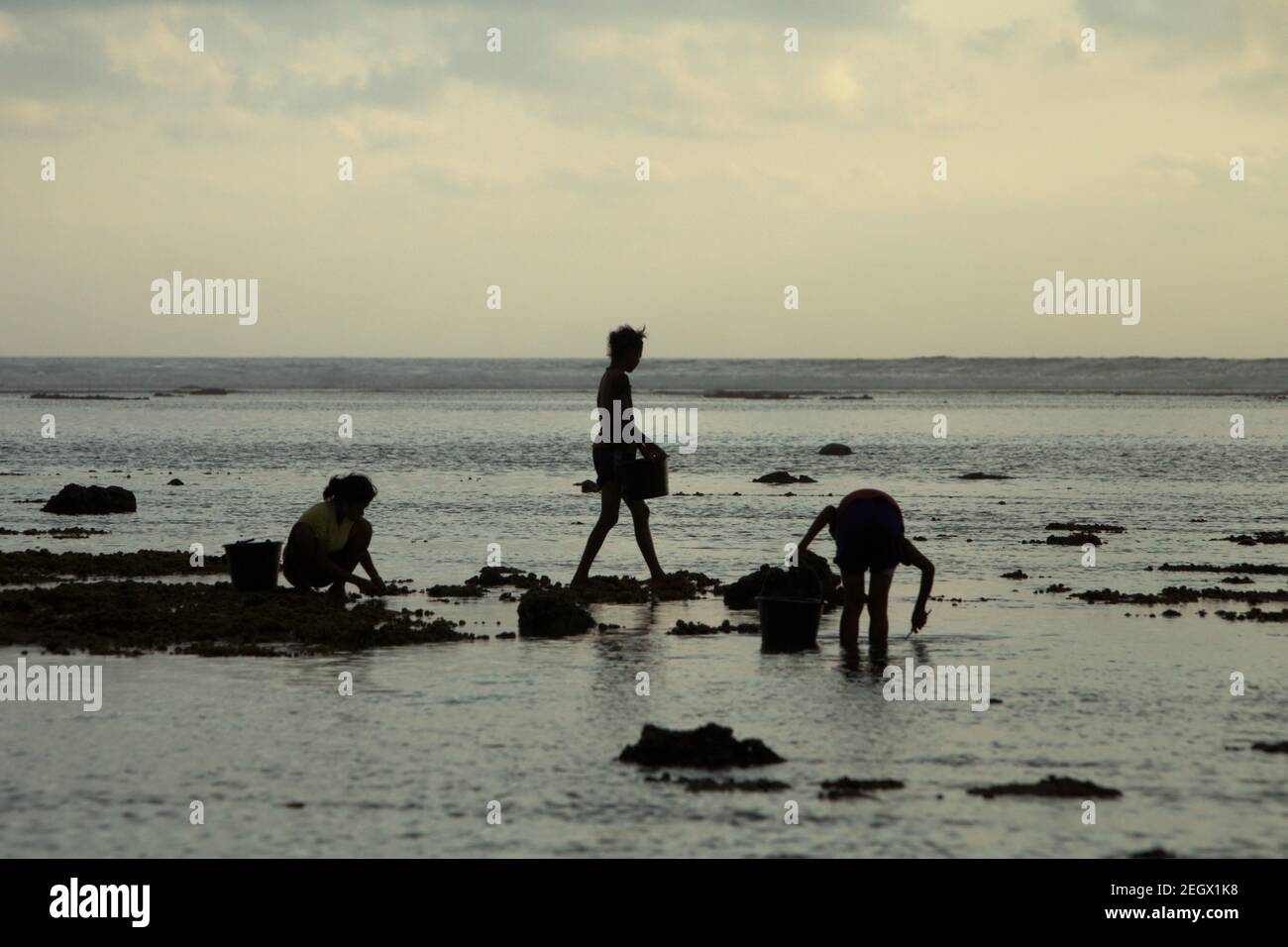 Les jeunes femmes récoltent des produits de la mer à marée basse—une source alimentaire alternative saisonnière à l'île de Sumba, à Nusa Tenggara, en Indonésie. Banque D'Images