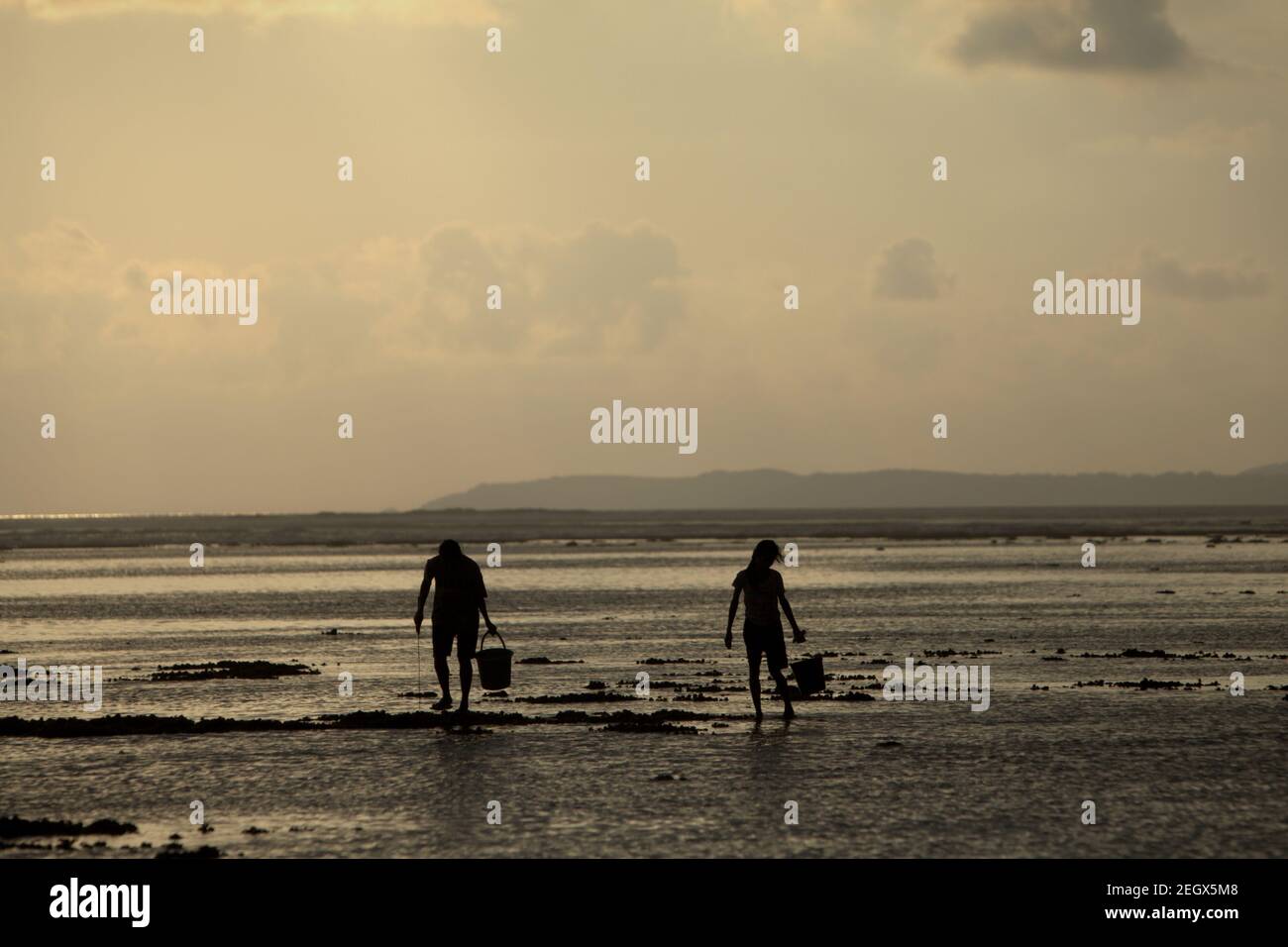 Les jeunes femmes ont silhoueté comme elles marchent sur la plage rocheuse pendant la marée basse, transportant des seaux en plastique pour recueillir des produits de la mer. Banque D'Images