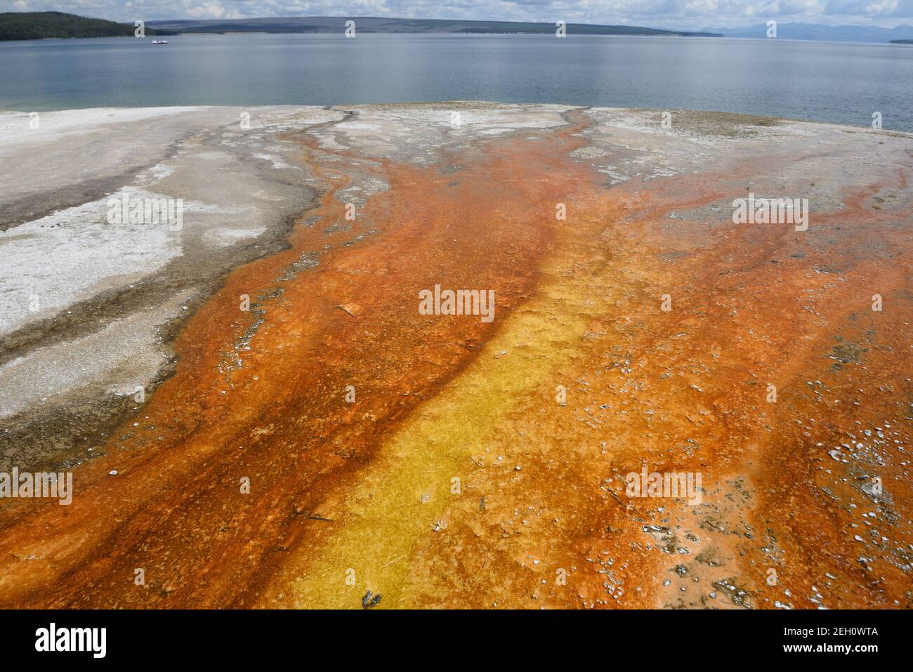 West Thumb Geyser Basin dans le parc national de Yellowstone, Wyoming, États-Unis Banque D'Images