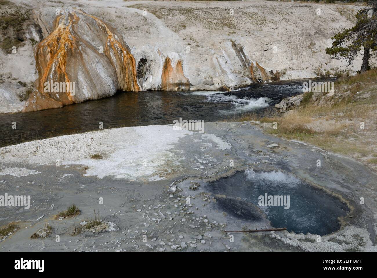 Caractéristiques géothermiques colorées dans la zone géothermique Old Faithful du parc national de Yellowstone, Wyoming, États-Unis Banque D'Images