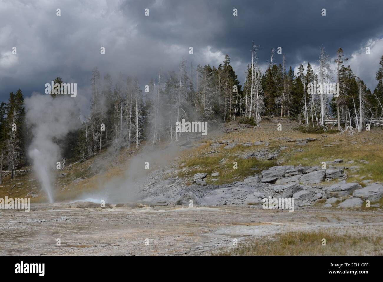 Caractéristiques géothermiques colorées dans la zone géothermique Old Faithful du parc national de Yellowstone, Wyoming, États-Unis Banque D'Images