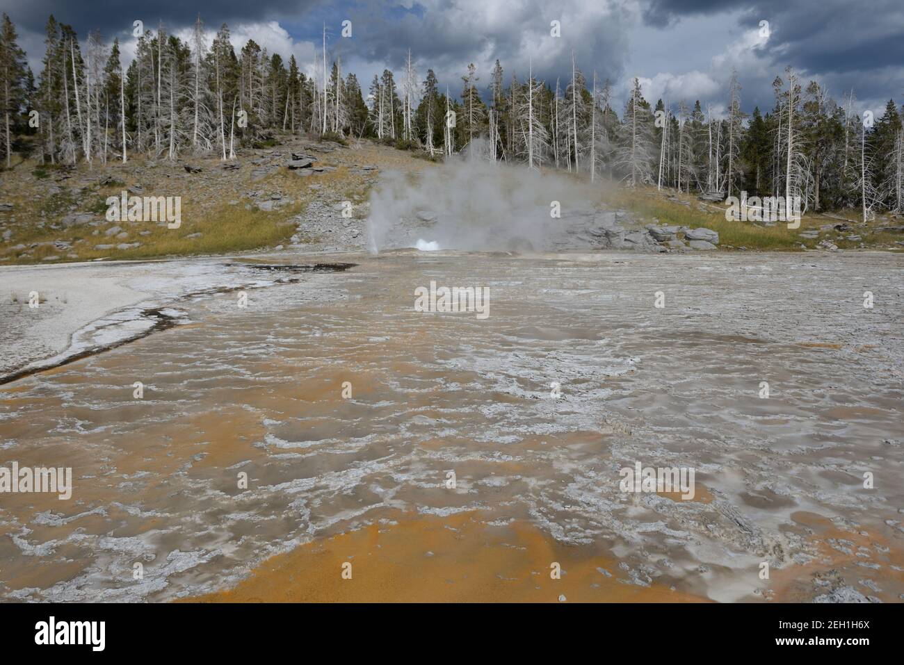 Caractéristiques géothermiques colorées dans la zone géothermique Old Faithful du parc national de Yellowstone, Wyoming, États-Unis Banque D'Images