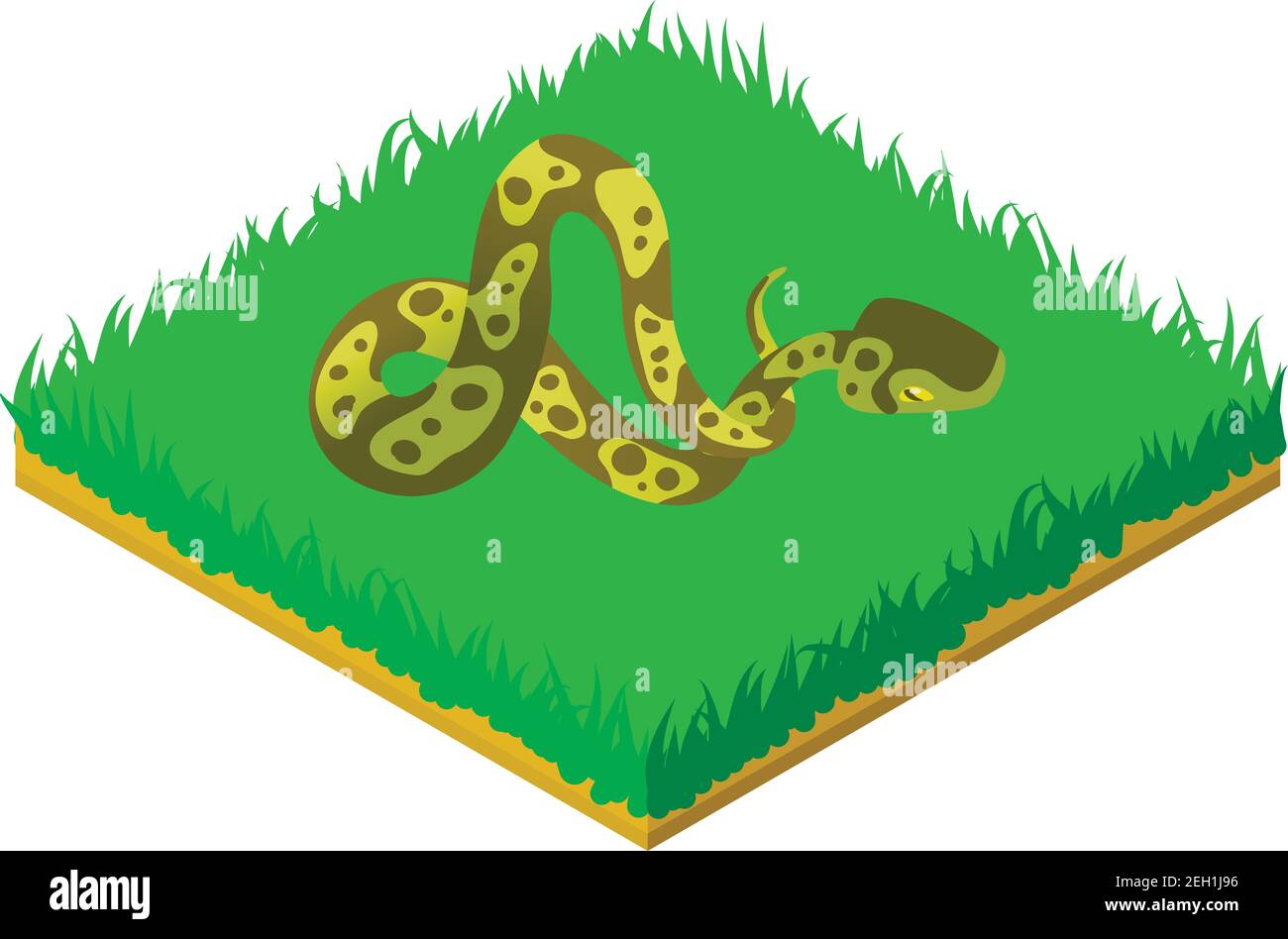 Icône python de balle. Illustration isométrique de l'icône de vecteur python à bille pour la toile Illustration de Vecteur