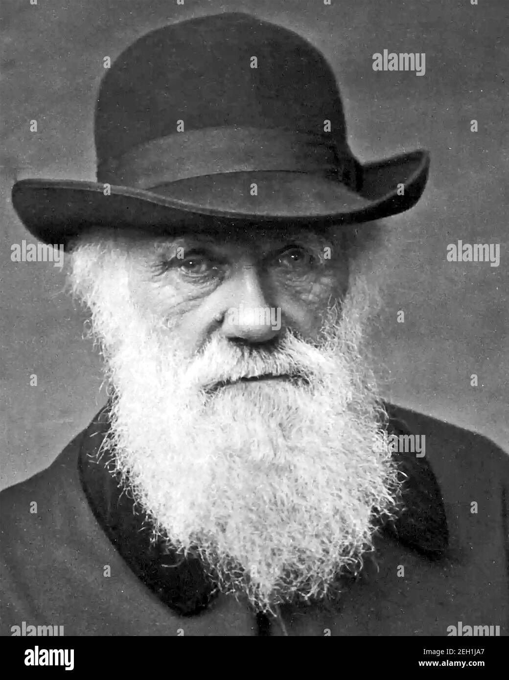 CHARLES DARWIN (1809-1882) naturaliste anglais en 1878 Banque D'Images