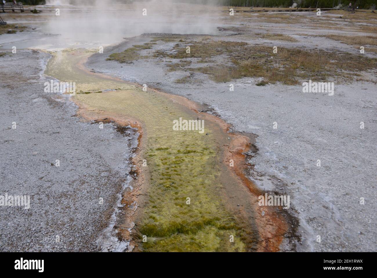 Caractéristiques géothermiques colorées dans la zone géothermique Old Faithful du parc national de Yellowstone, Wyoming, États-Unis Banque D'Images