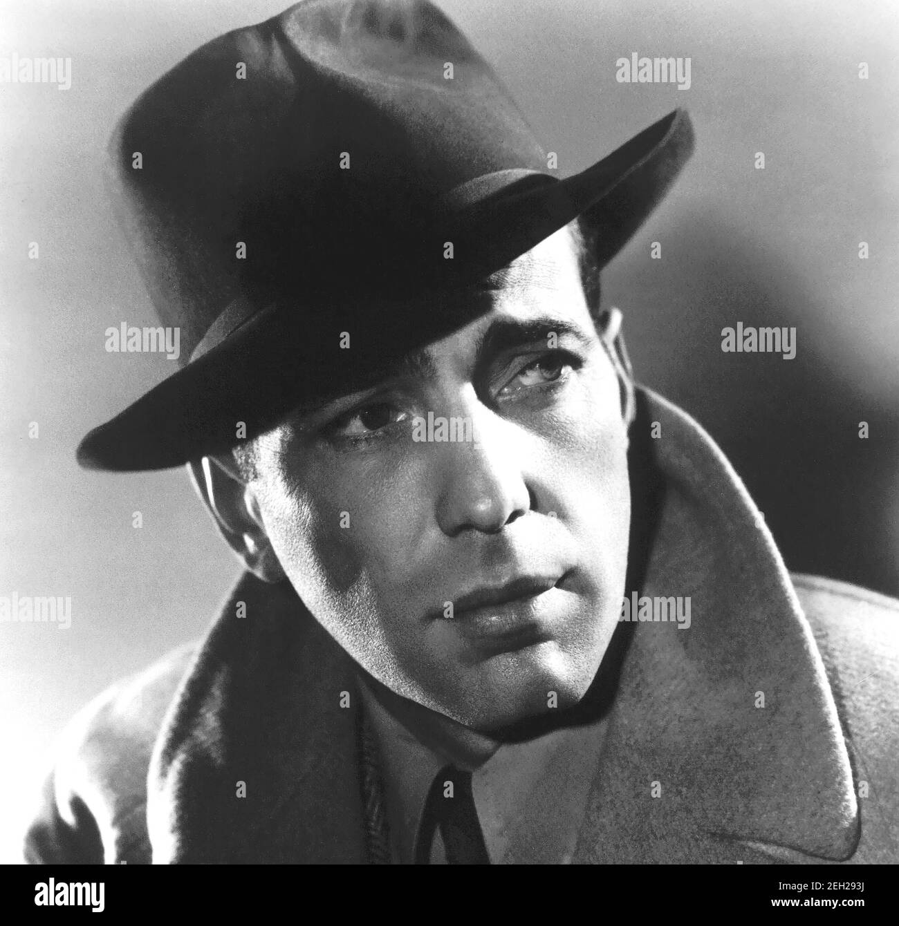 Humphrey Bogart, 1940, portrait noir et blanc, photo publicitaire. La sortie à l'arrière dit que c'était une nouvelle photo de lui du prochain film frère Orchid. Banque D'Images