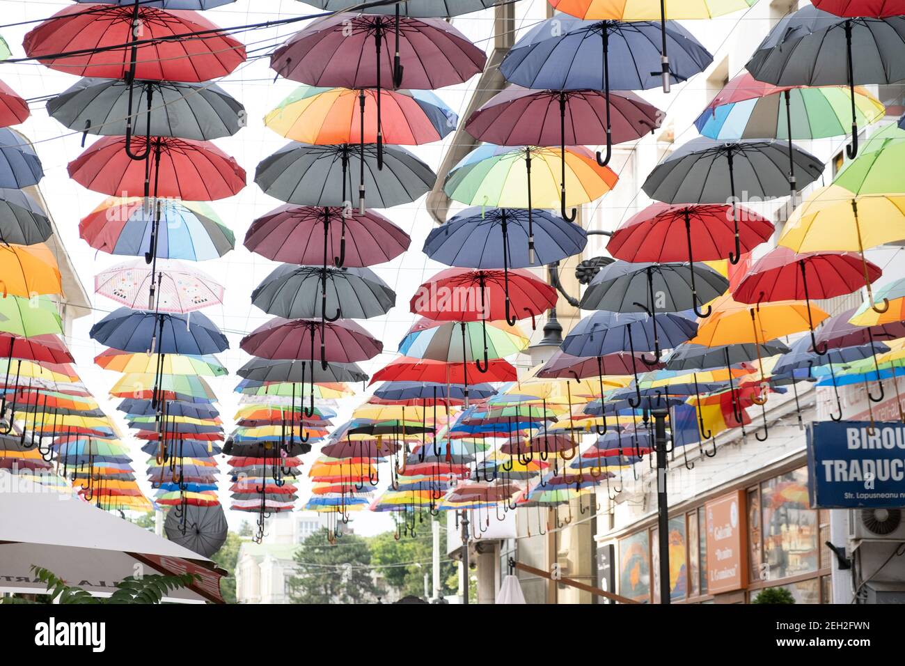 Un groupe de parapluie de différentes couleurs en Roumanie dans le centre  de la ville d'Iasi en une journée d'été. Photo de haute qualité Photo Stock  - Alamy
