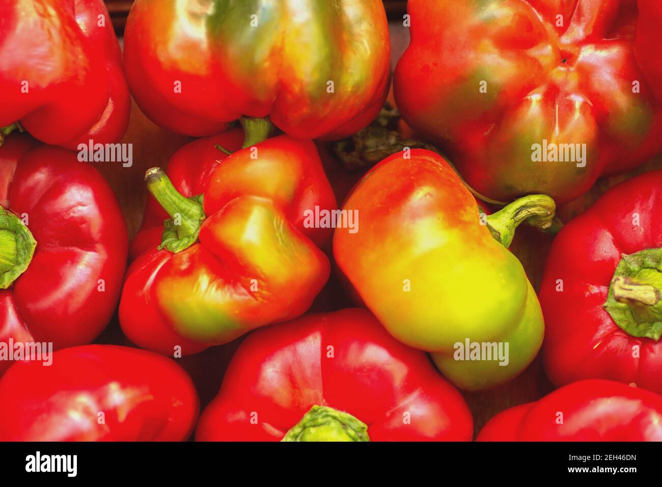 Fond naturel de poivrons rouges semi-chauds foyer sélectif de gogoshary Banque D'Images
