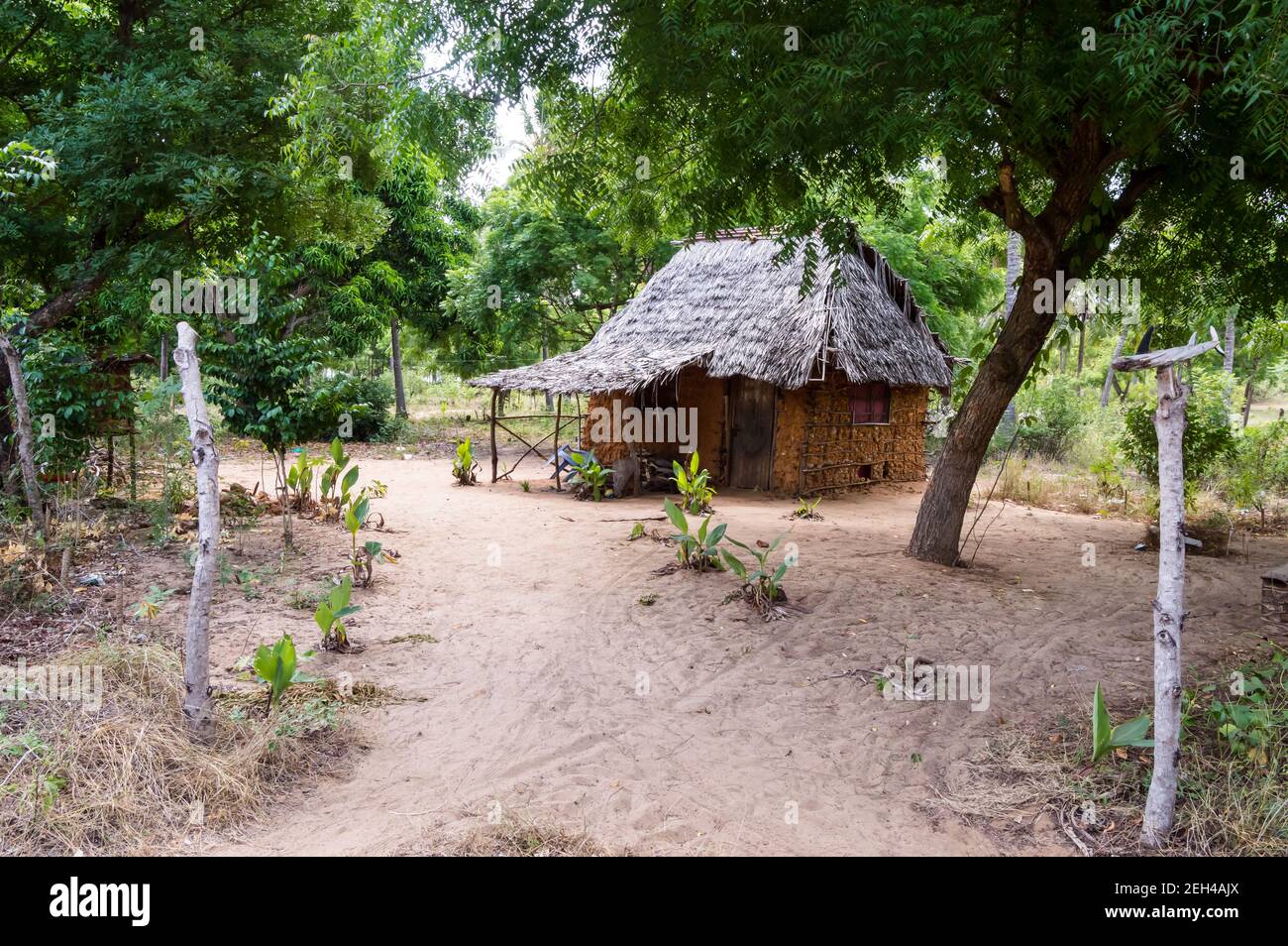 Maisons de style Zaramo dans la forêt de Watamu dans le sud du Kenya En Afrique Banque D'Images Maisons de style Zaramo dans la forêt de Watamu dans le sud du Kenya En Afrique Banque D'Images