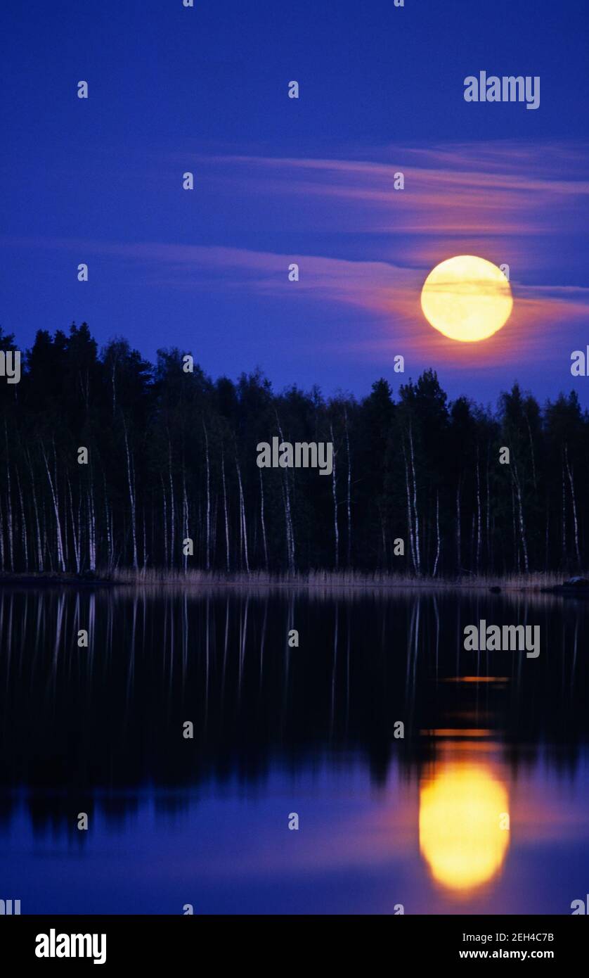 Pleine lune s'élevant au-dessus de la forêt et réfléchissant dans l'eau. Banque D'Images
