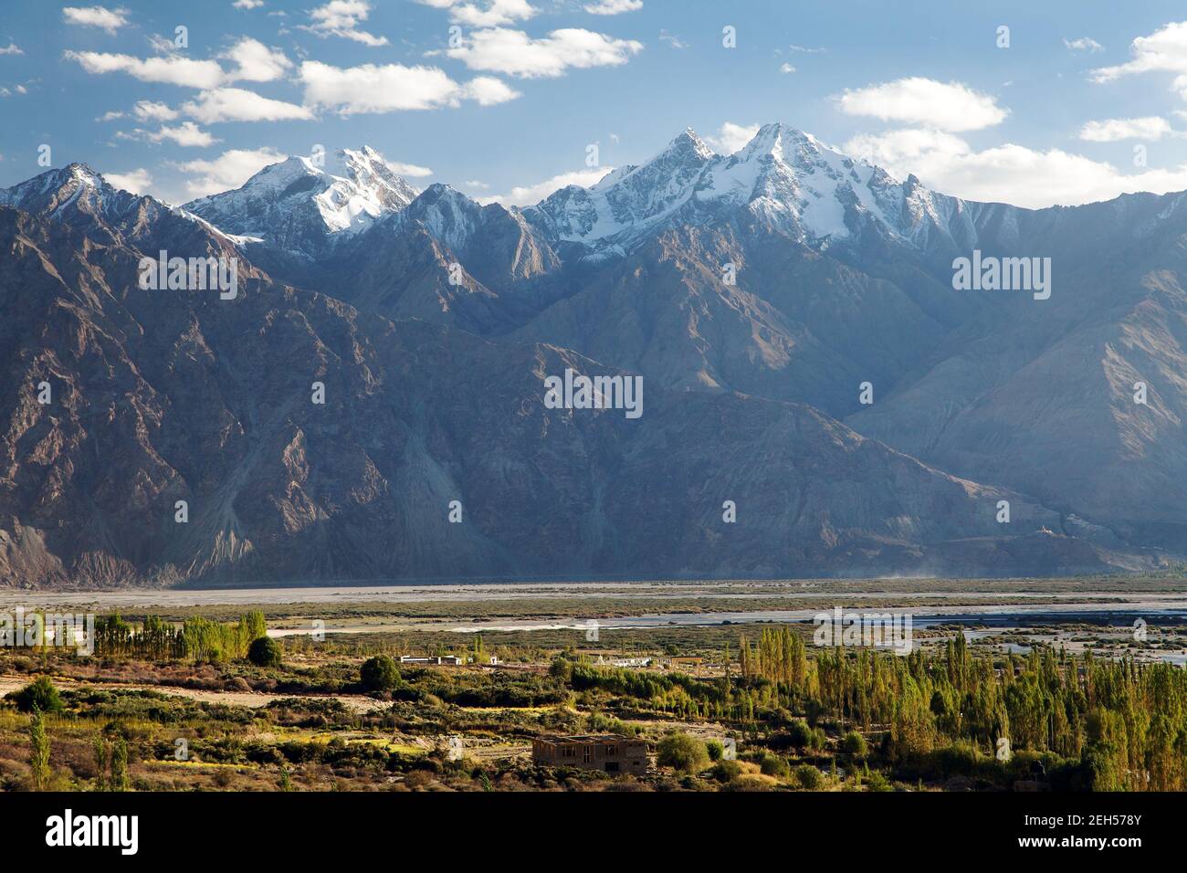 Vallée de Nubra - himalaya indien - Ladakh - Jammu et Cachemire - Inde Banque D'Images