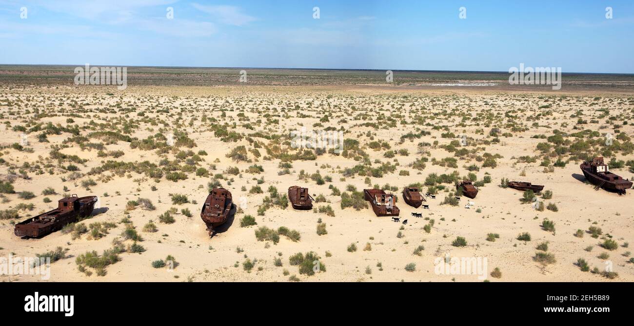 Bateaux dans le désert autour de Moynaq, Muynak ou Moynoq - mer d'Aral ou lac d'Aral - Ouzbékistan - asie Banque D'Images