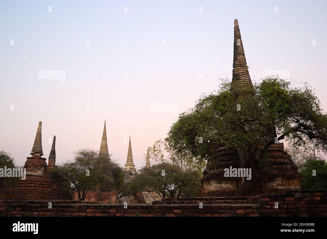 Parc historique d'Ayutthaya ancien royaume Wat Phra si sanphet ressemble à sukhothai près de Bangkok Thaïlande. Ancienne pagode bouddhiste Banque D'Images