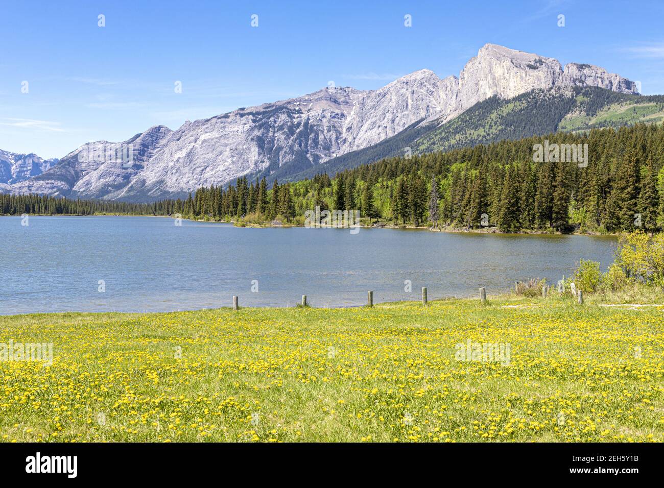 Un lac situé dans le pays de Kananaskis, à l'ouest de Calgary, en Alberta, au Canada, dans les contreforts des Rocheuses canadiennes Banque D'Images