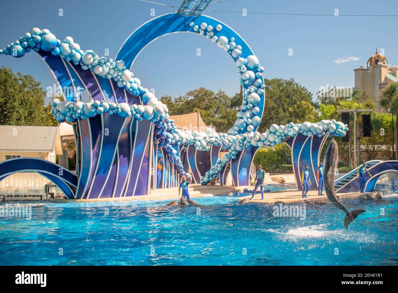 Orlando, Floride. 20 novembre 2020. Dauphins sautant au spectacle de la journée des dauphins à SeaWorld (51) Banque D'Images