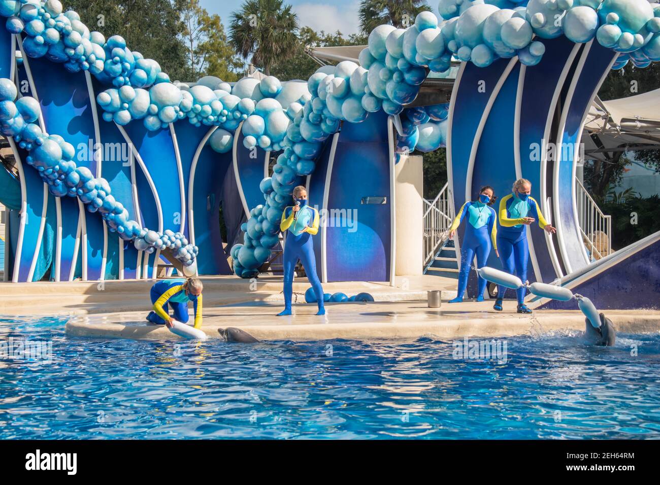 Orlando, Floride. 20 novembre 2020. Dauphins sautant au spectacle de la journée des dauphins à SeaWorld (131) Banque D'Images