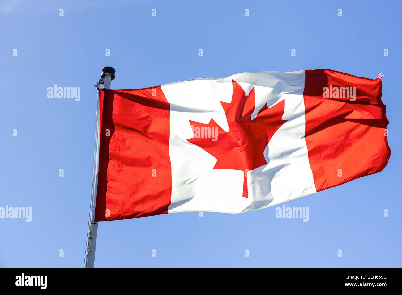 Le drapeau national canadien flotte contre un ciel bleu clair. Banque D'Images