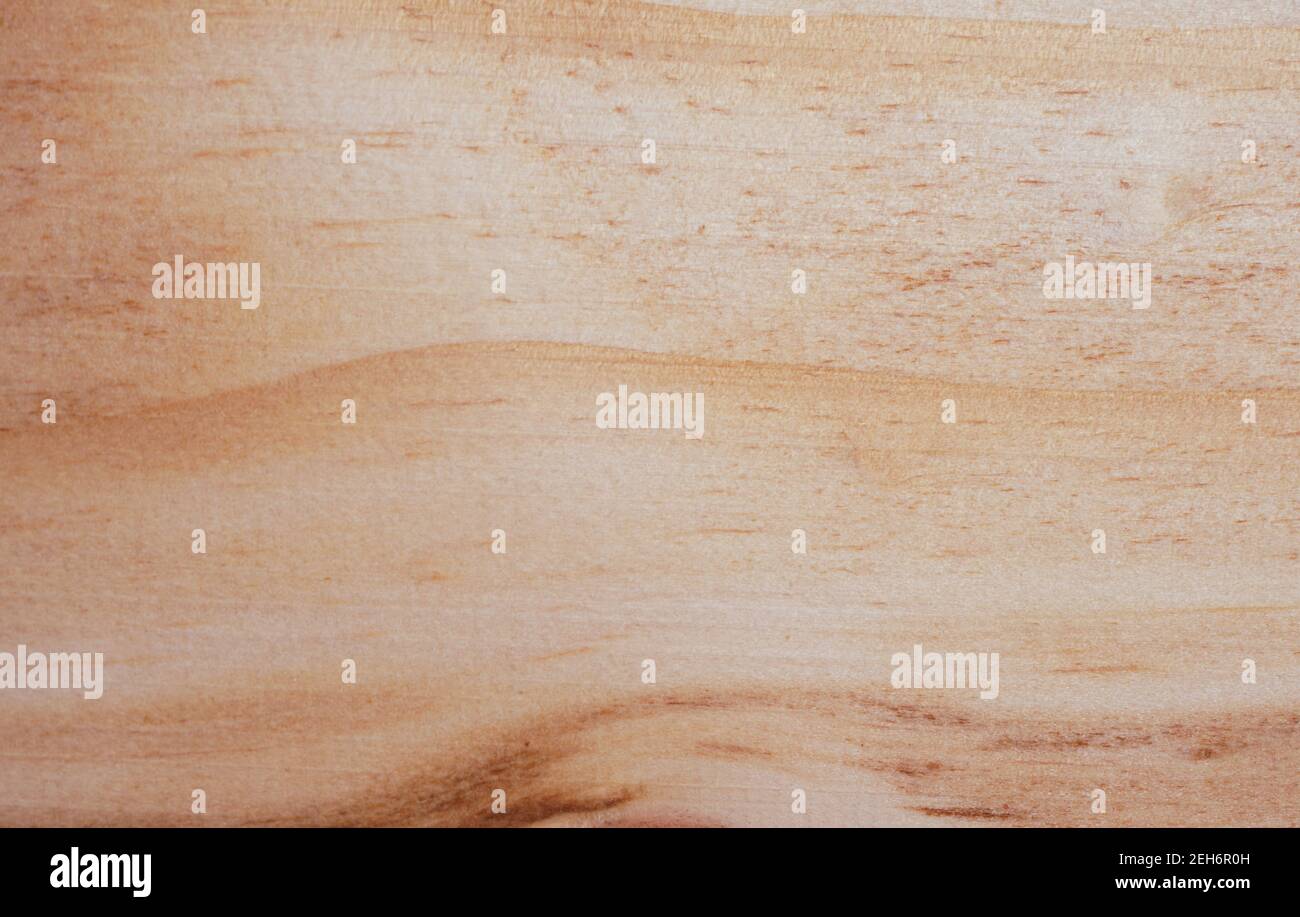 Nouveau fond de texture en bois avec espace de copie pour la conception ou le texte. Haute qualité pour votre travail. Concept de papier peint ou site Web. Matériaux naturels a Banque D'Images