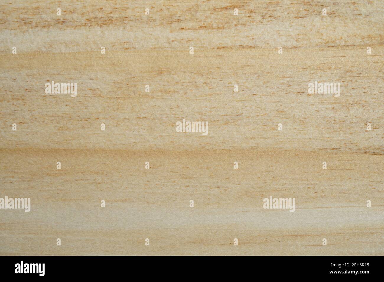 Nouveau fond de texture en bois avec espace de copie pour la conception ou le texte. Haute qualité pour votre travail. Concept de papier peint ou site Web. Matériaux naturels a Banque D'Images